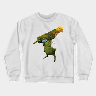 Parrots Crewneck Sweatshirt